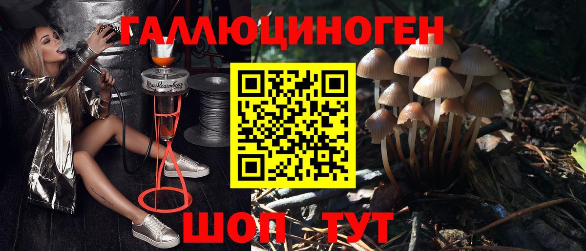 Галлюциногенные грибы Cubensis Мурино