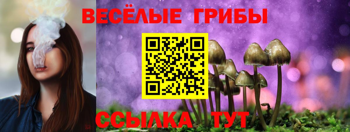 Псилоцибиновые грибы Psilocybine cubensis  Псилоцибиновые грибы Magic Shrooms  Мурино  Вход с VPN 